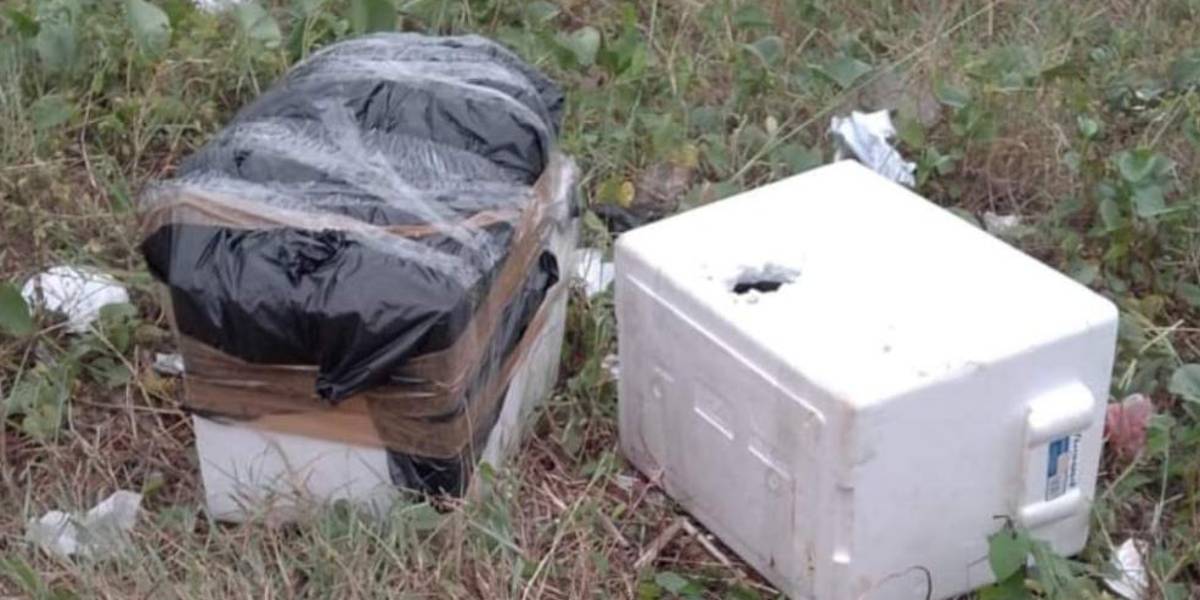 Un cuerpo desmembrado fue encontrado en tres hieleras, en Daule