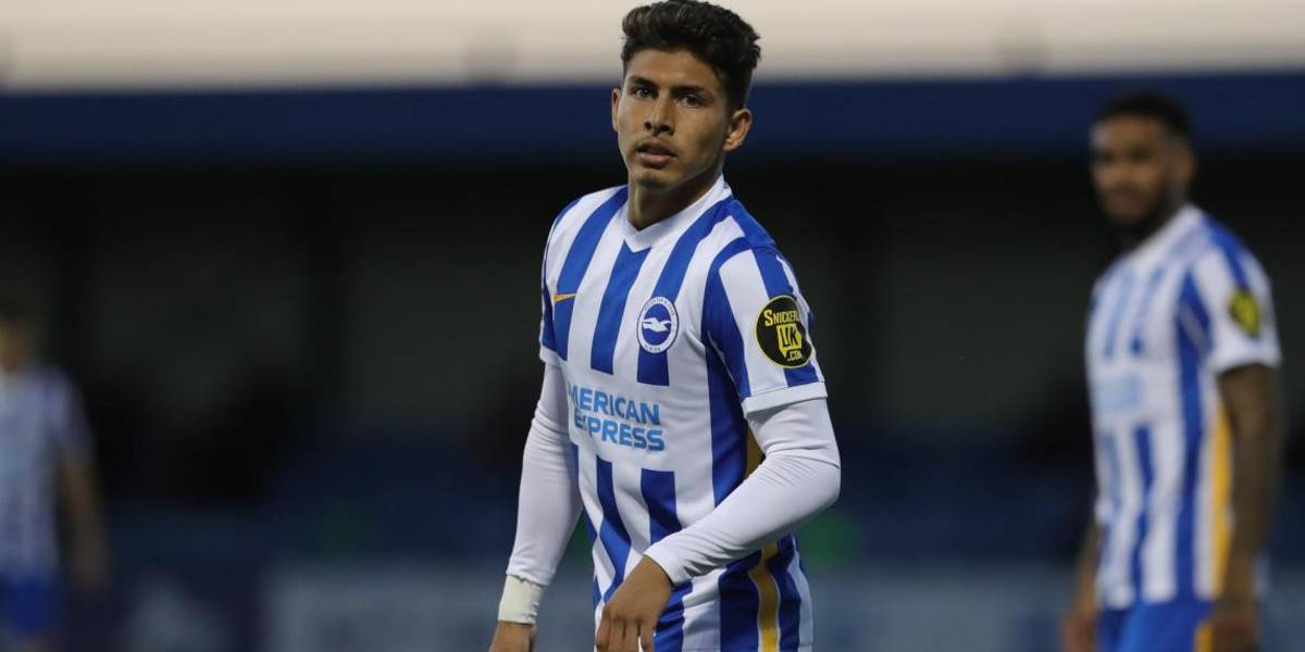 Jeremy Sarmiento regresa al Brighton, luego de su paso por el Ipswich Town