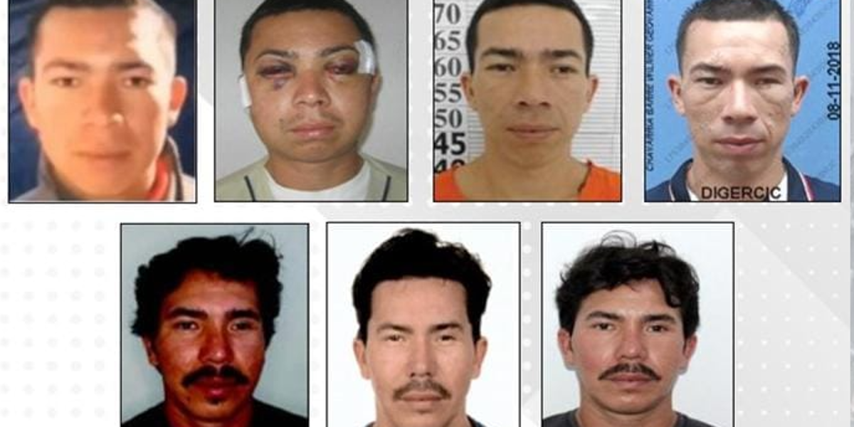 Así fue la transformación de Pipo y su paso por dos países antes de llegar a España