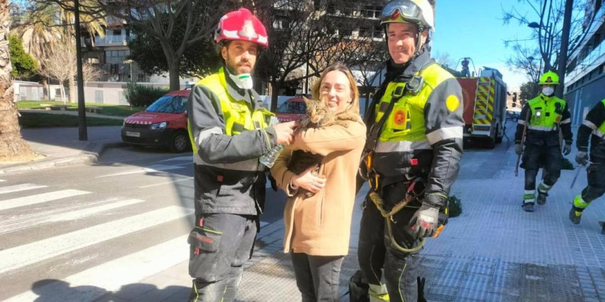 Incendio en Valencia: emotivo encuentro de una dueña con su gato sobreviviente