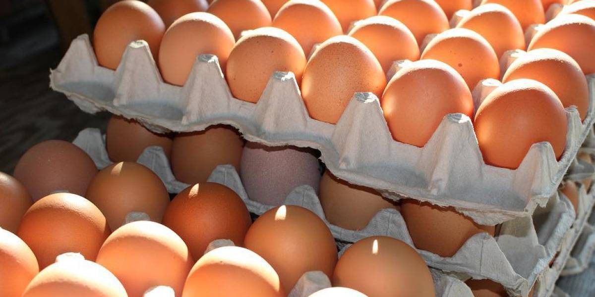 60 millones de huevos no han llegado a sus destinos por el bloqueo de vías