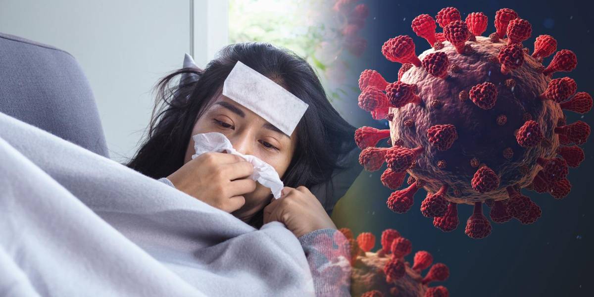 Mycoplasma pneumoniae: la bacteria que se confunde con el COVID-19