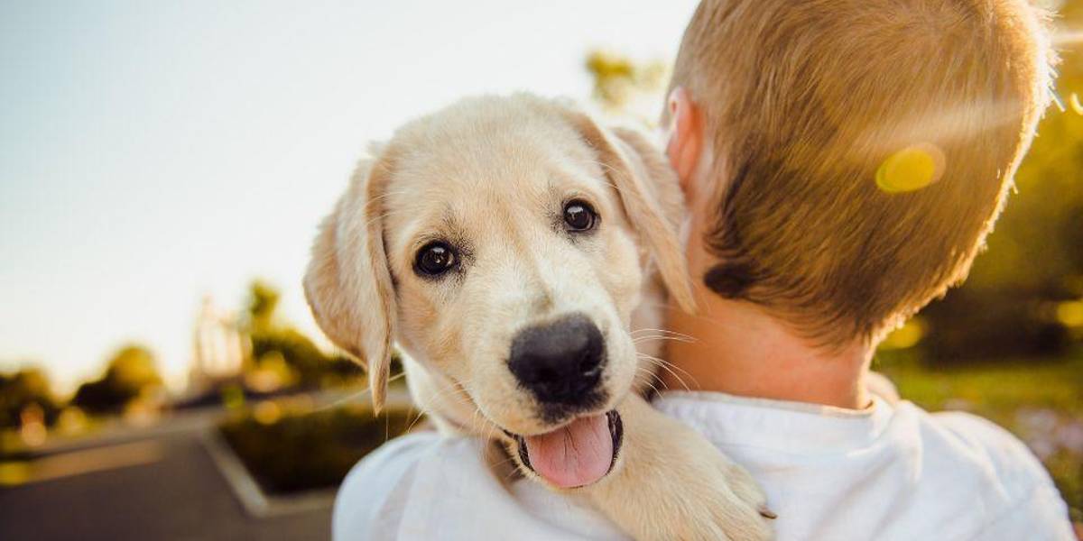 ¿Las mascotas pueden ayudar a personas con enfermedades mentales graves?