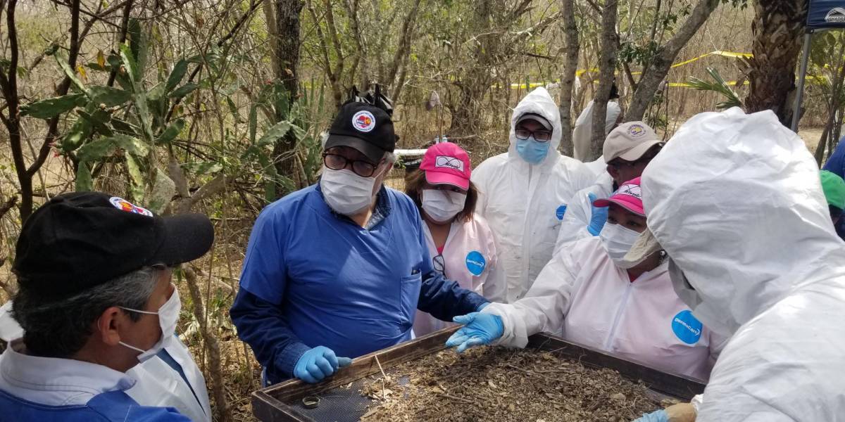Localizaron 60 fosas clandestinas en México durante el 2022