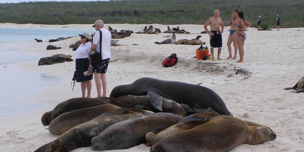 El ingreso a Galápagos podría aumentar de precio para frenar la llegada masiva de turistas