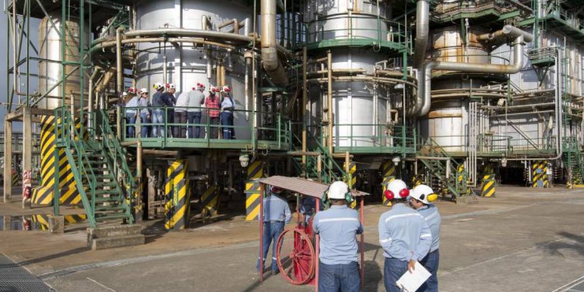 La fracasada fusión entre Petroecuador y Petroamazonas: hay un exceso de 1 500 empleados