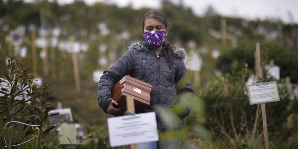 Colombia: plantan árboles con cenizas de víctimas de COVID