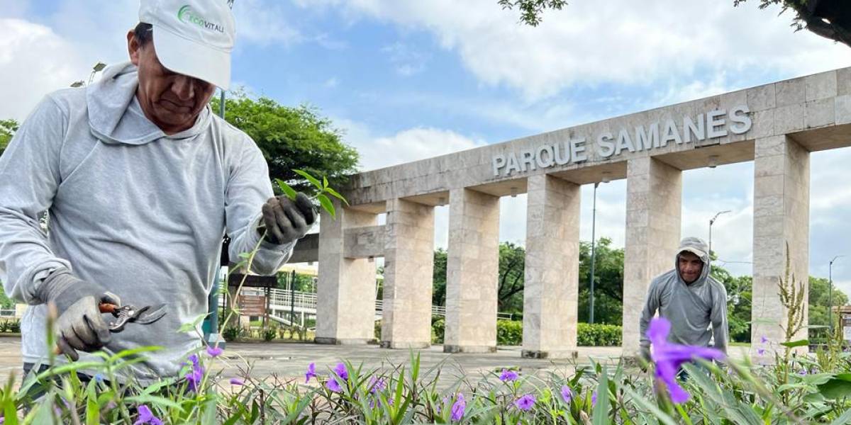El alcalde de Guayaquil anuncia la construcción del Malecón 3000 en el Parque Samanes