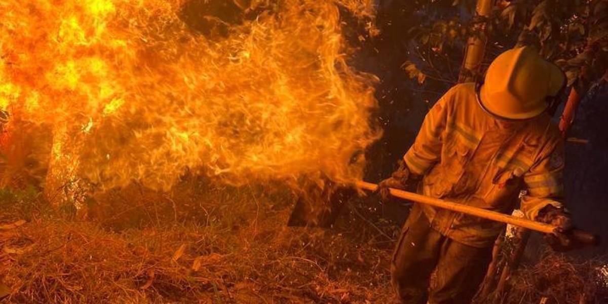Los bomberos de Loja controlan el 90 % de un incendio forestal en Malacatos, donde se han quemado 100 has. de vegetación