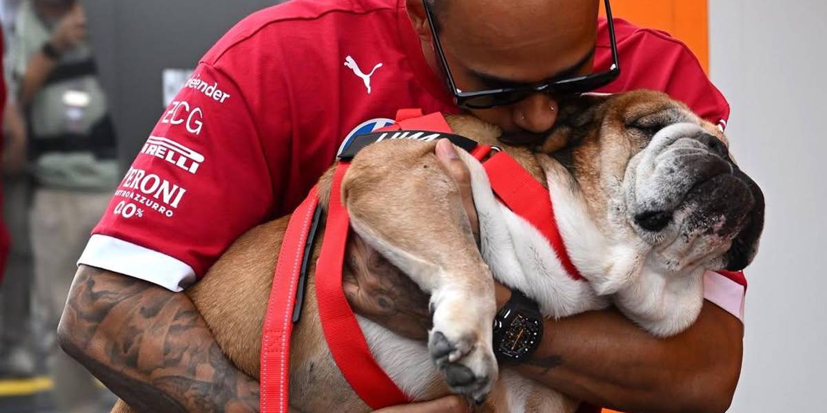 Lewis Hamilton anuncia el doloroso fallecimiento de su perro Roscoe tras una dura batalla médica