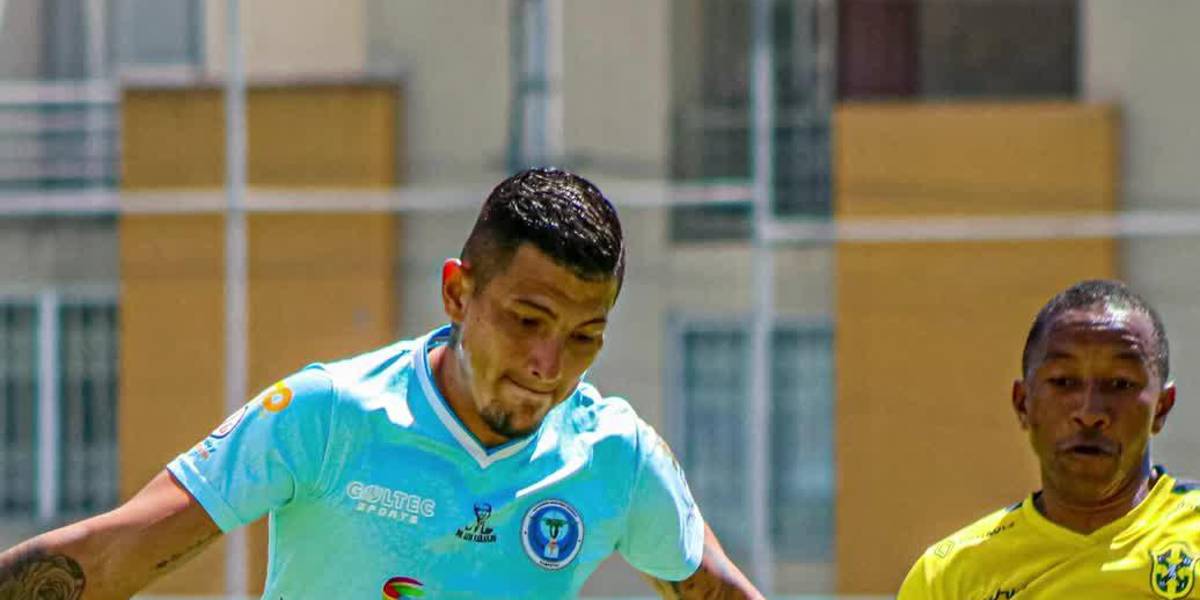 (VIDEO) Un partido de Segunda Categoría fue paralizado por ataque de abejas