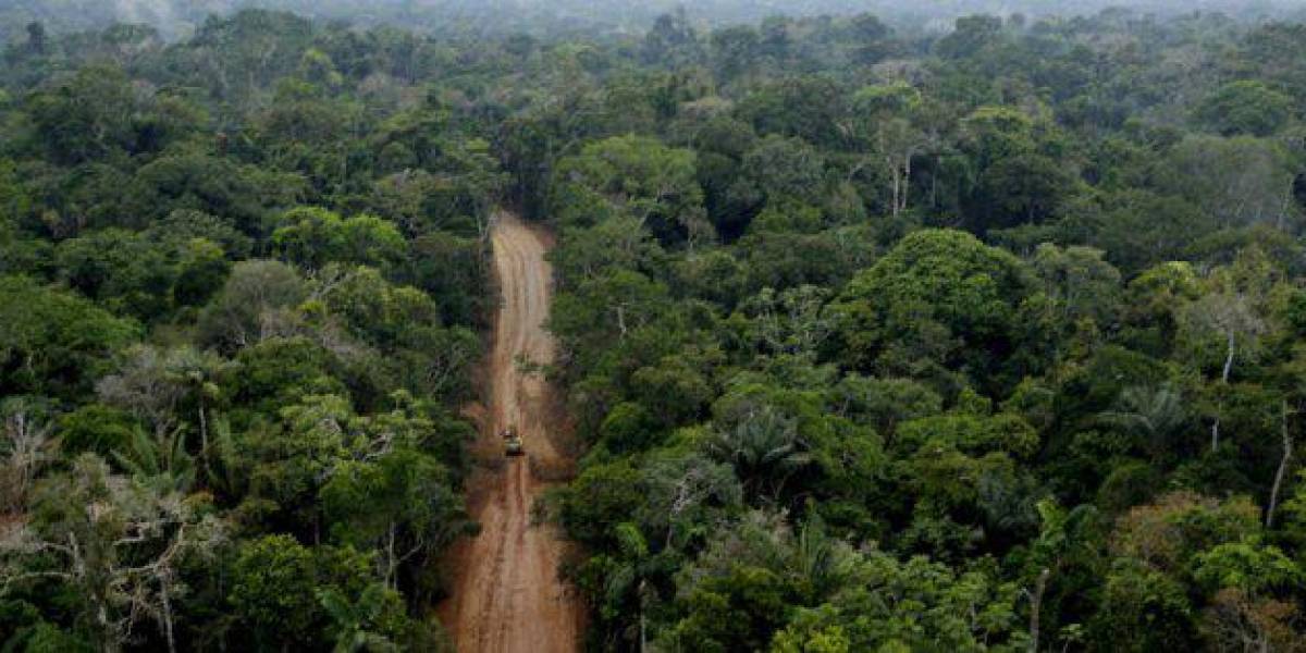 Piden medidas cautelares por carretera entre pueblos amazónicos de Ecuador