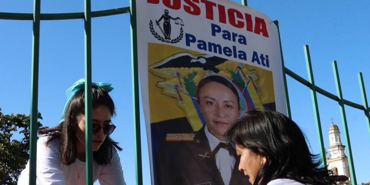 La Asamblea no aprueba informe que atribuía responsabilidad estatal por muerte de Pamela Ati