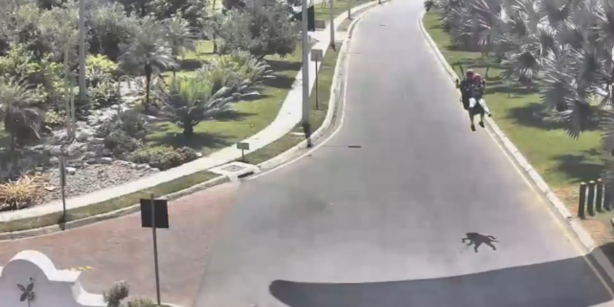 Guayaquil: vuelo de parapente termina en choque contra cámaras