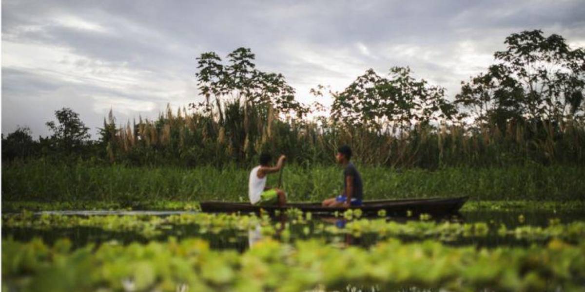 Cómo es la densa selva en la Amazonía donde los niños indígenas de Colombia estuvieron perdidos 40 días