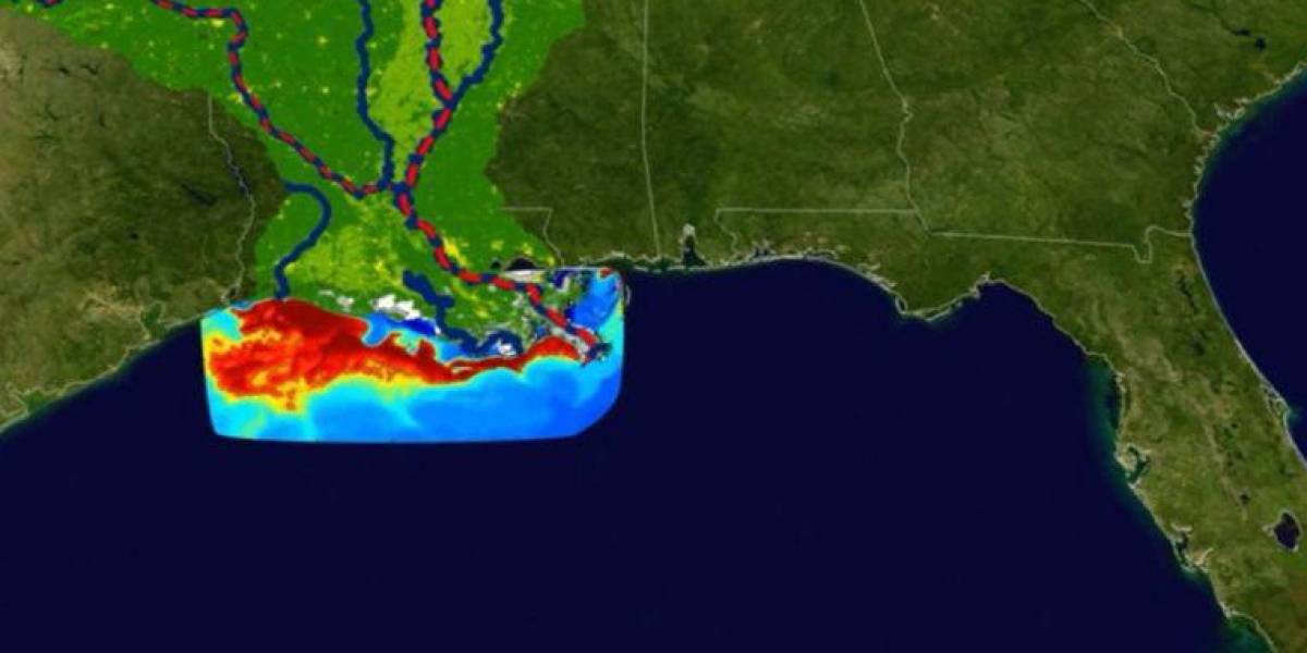 Zona muerta del Golfo de México: la preocupante expansión de esta área en la que la vida marina es imposible