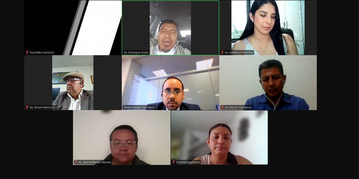 La Comisión de Gobiernos Autónomos recomienda tramitar un juicio político contra los ministros de Transporte y Finanzas