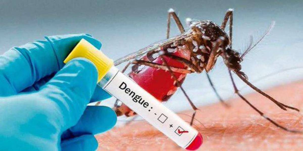 Más de 170 casos de dengue en Guayaquil y Durán, en lo que va del año