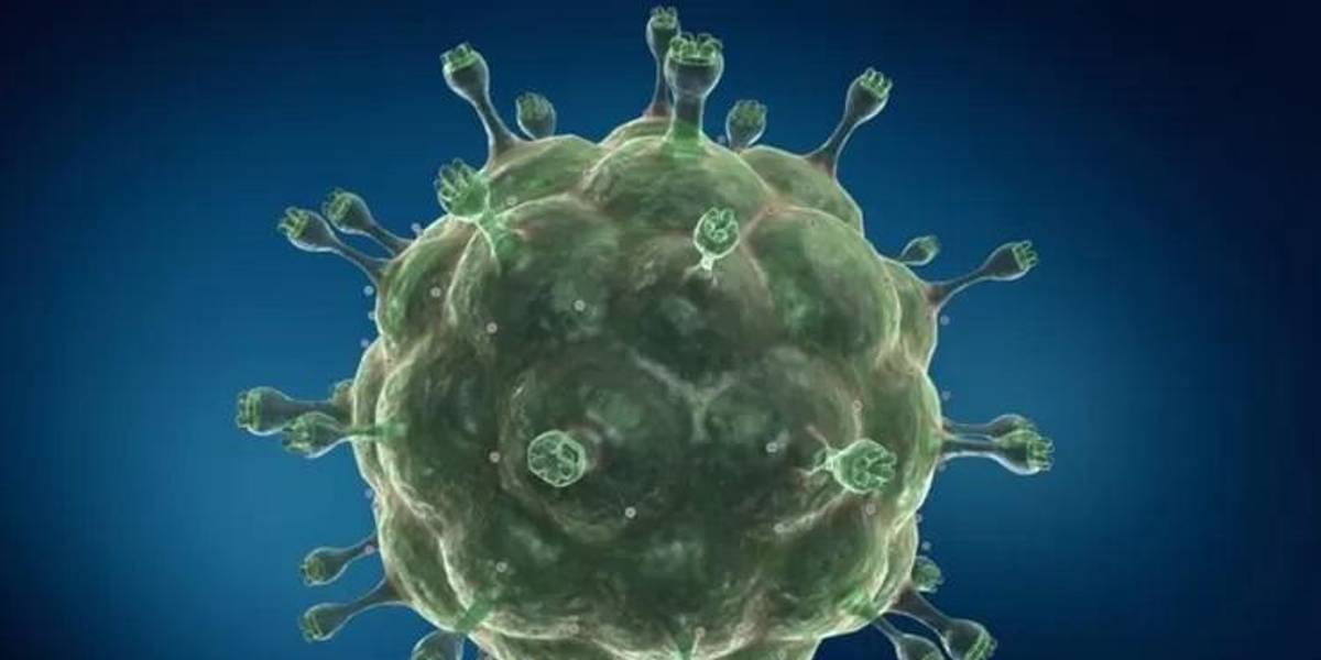 VIH: el caso de la primera mujer en el mundo que logró curarse del virus con un novedoso tratamiento (y por qué es difícil de aplicar a otros enfermos)
