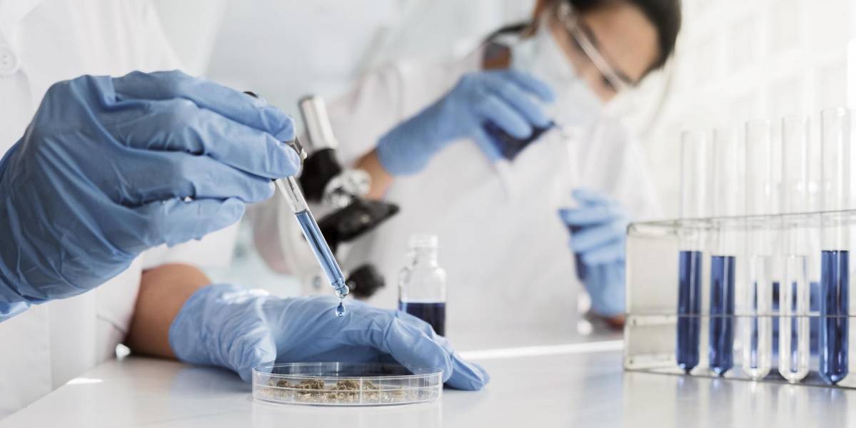 Alimentos con plomo: ¿cómo llega a la comida, cuánto afecta al organismo y qué hacer para contrarrestarlo?