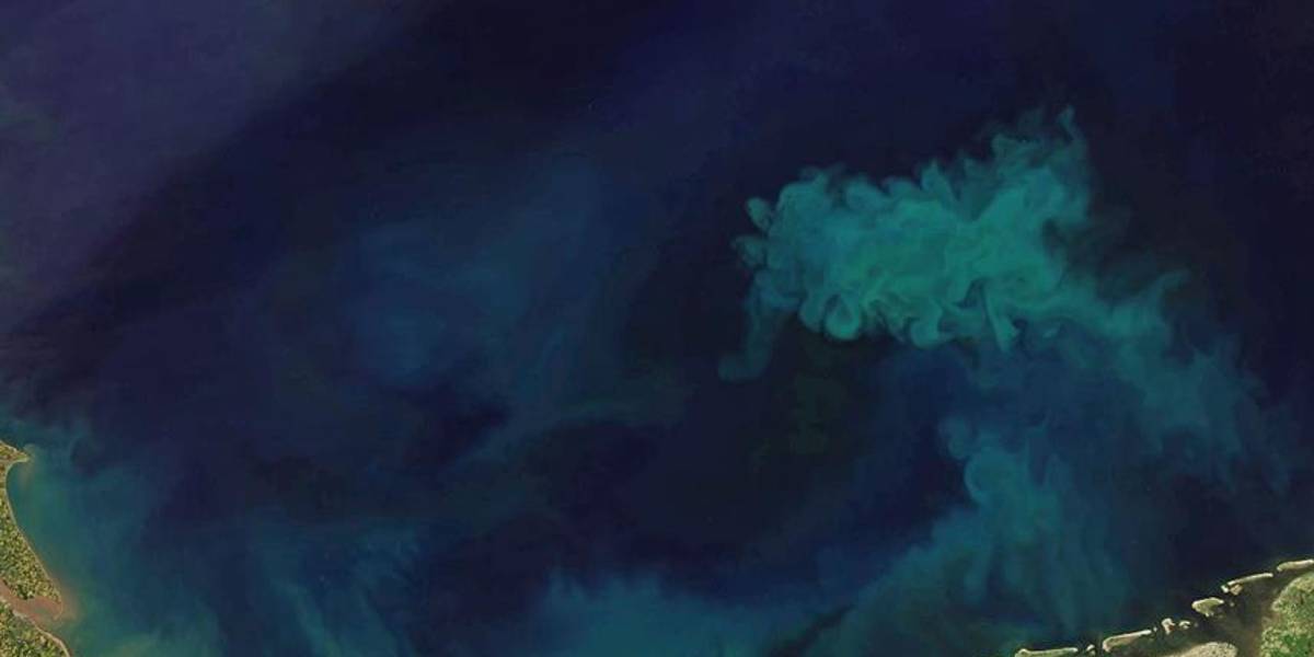 La crisis climática ha cambiado el color de los océanos durante los últimos 20 años