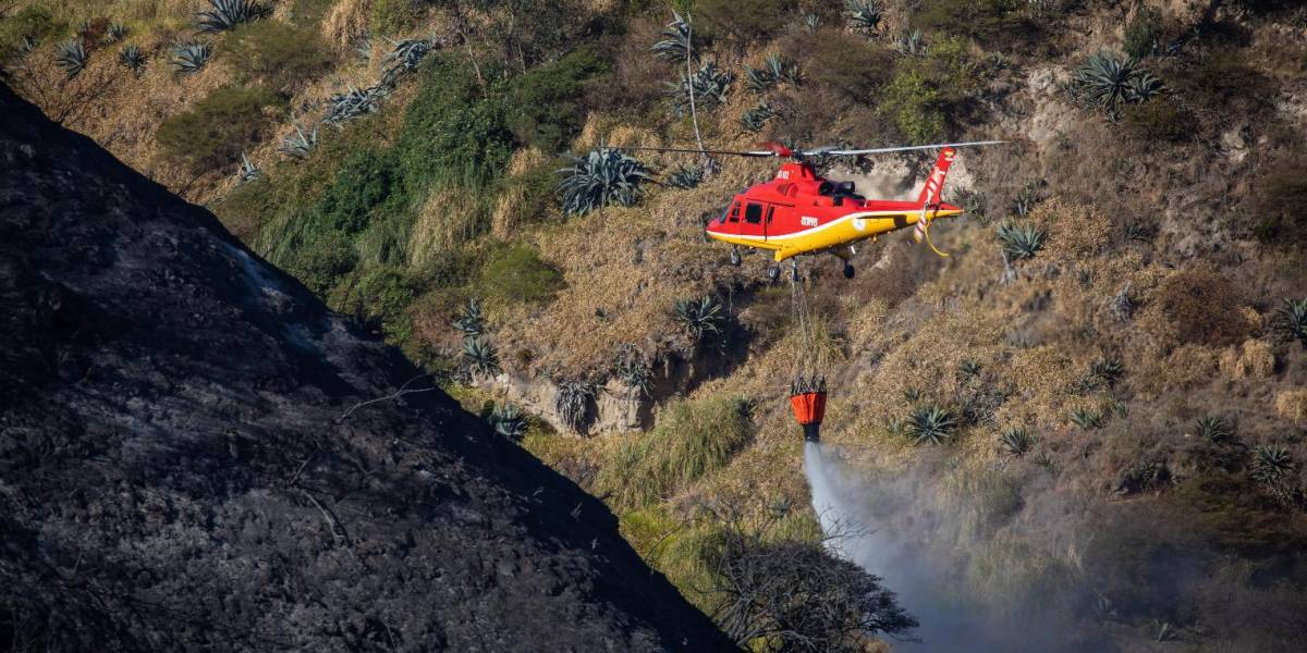 Luego de 100 horas de trabajo, los bomberos de Quito liquidaron tres incendios forestales