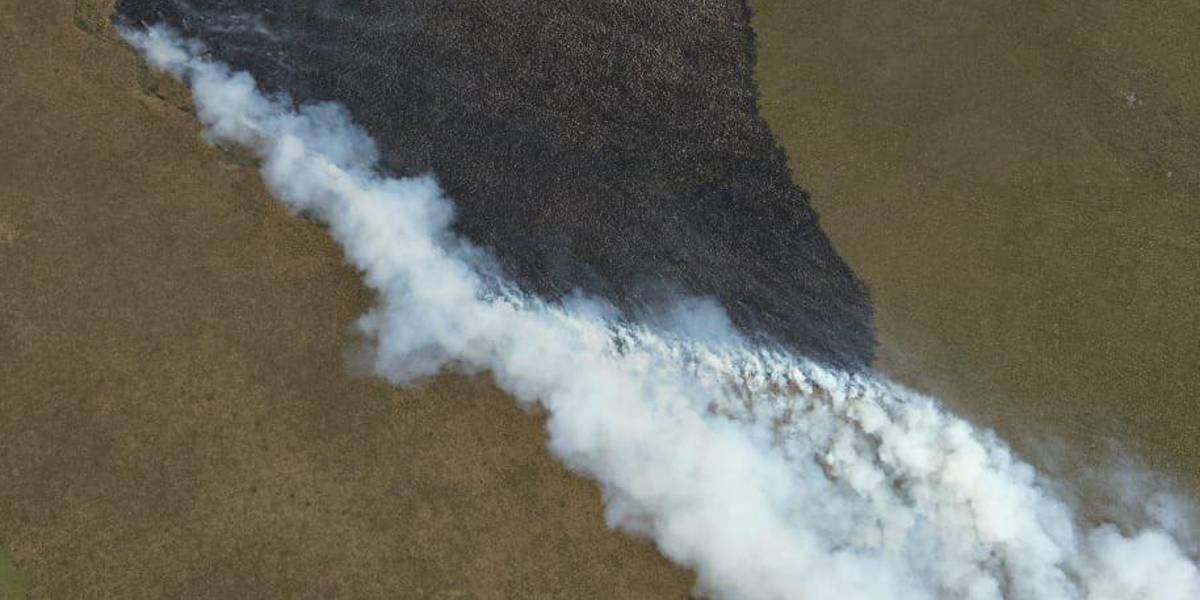 El incendio en el cerro Sincholagua fue controlado tras casi 24 horas