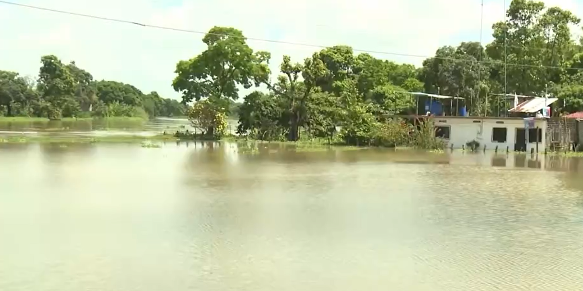 Salitre bajo el agua: 60 000 hectáreas de cultivos afectados por lluvias y desbordes