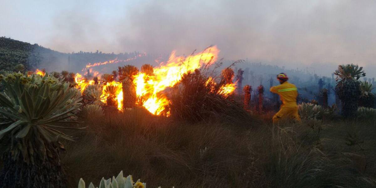 Ecuador registró más de 1.400 incendios forestales de enero a julio de 2021