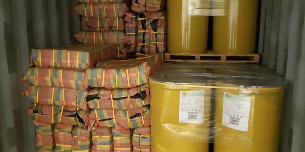 Interceptan en Países Bajos 3 toneladas de cocaína en puré de plátano que habían salido de Ecuador