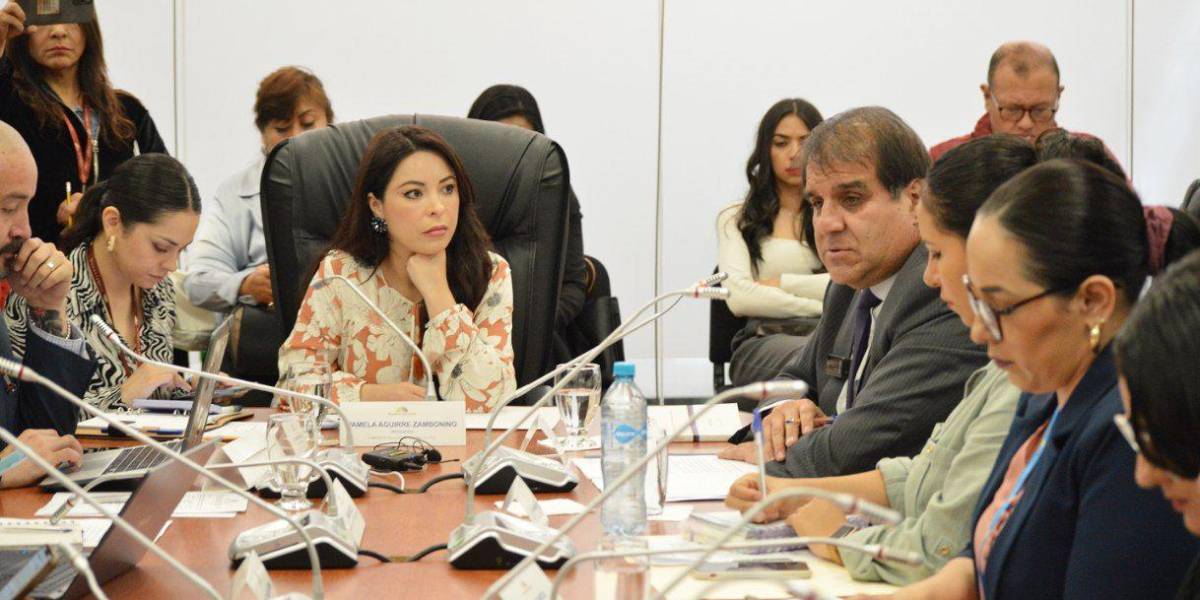 Caso Purga: la Judicatura pide a la Contraloría examinar las declaraciones patrimoniales de todo el personal de la Corte del Guayas