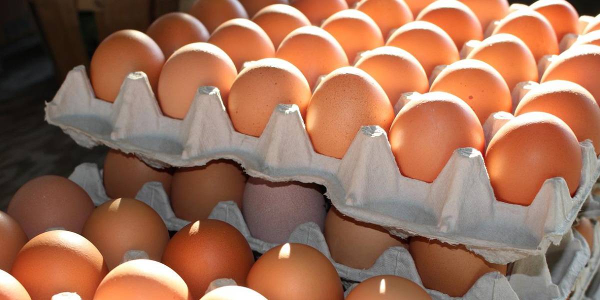 Cubetas de huevos se venden hasta en cinco dólares en Guayaquil