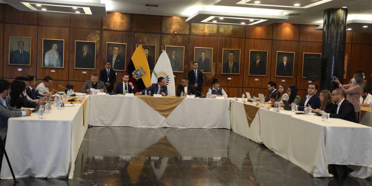 Saquicela asegura que existe consenso en 104 de los 118 artículos de la Ley de Inversiones