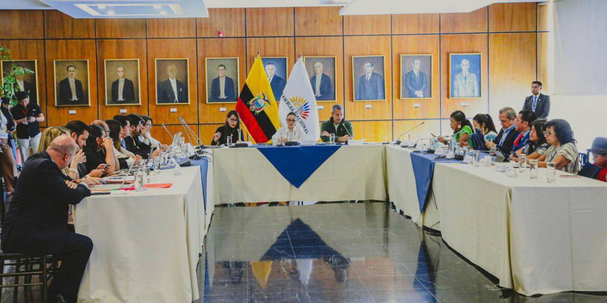 La Comisión de la Niñez comenzó con la fiscalización de acciones estatales ante casos de violencia sexual a menores de edad