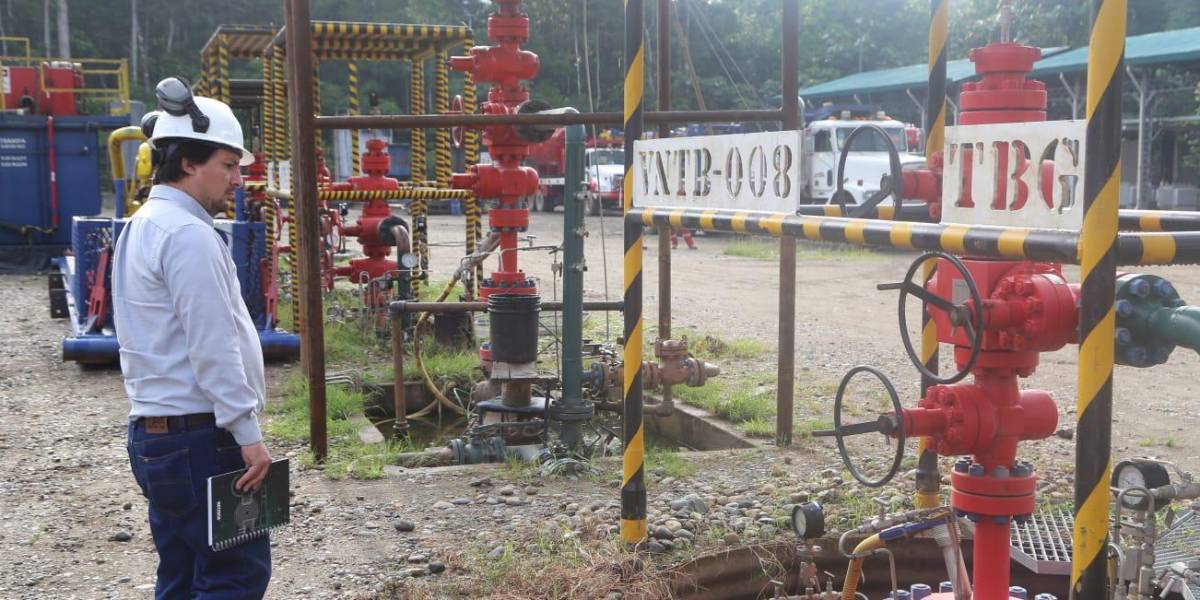 Ecuador no producirá la cantidad de petróleo proyectada para este año