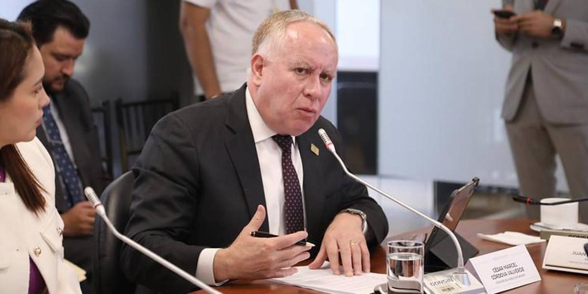 La Defensoría del Pueblo sustenta en la Asamblea el proyecto de Ley de Reproducción Asistida