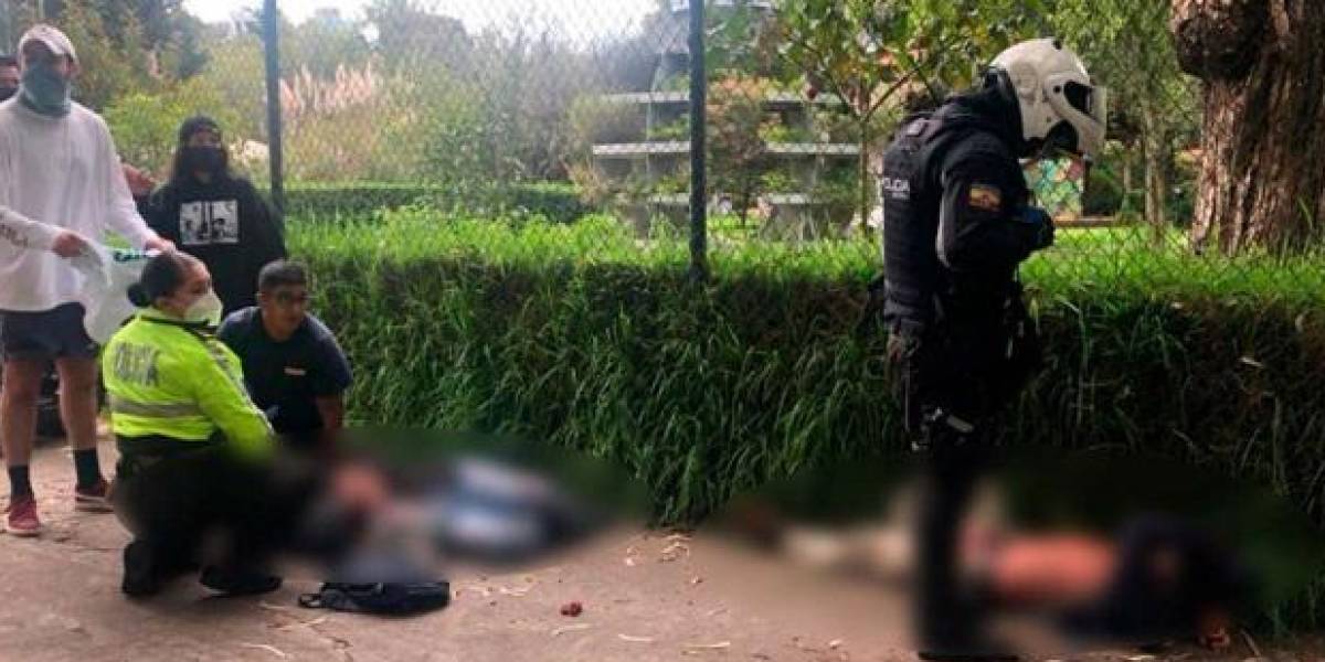 Prisión para hombre que intentó matar a la madre de sus hijos en el parque La Carolina, en Quito