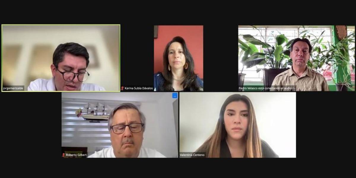 Asamblea: la Comisión de Desarrollo Económico aprobó informe para primer debate de ley energética