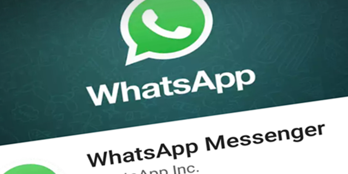 WhatsApp: ¿Cómo hacer un buen uso de los grupos escolares?