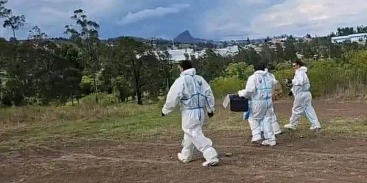 Cañar: dos cadáveres embalados fueron hallados en Azogues