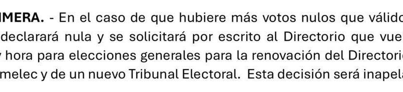 Archivo Reglamento Elecciones 2025.