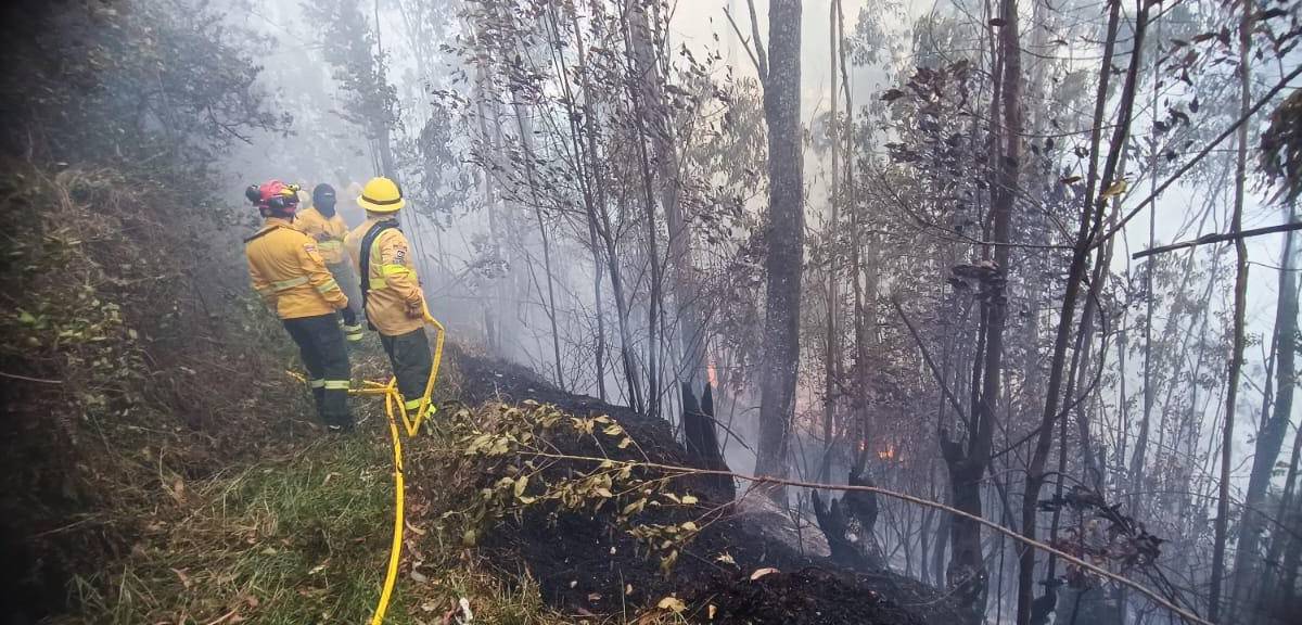 Quito: una nube de humo se vio desde el centro, por un incendio forestal en San Roque