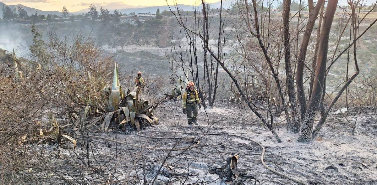 Quito: los incendios forestales en Itulcachi y El Chiche aún no se controlan en su totalidad