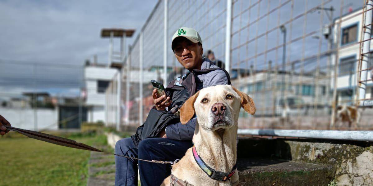 Registro de mascotas en Quito: ¿para quién está dirigido, cómo y desde cuándo?