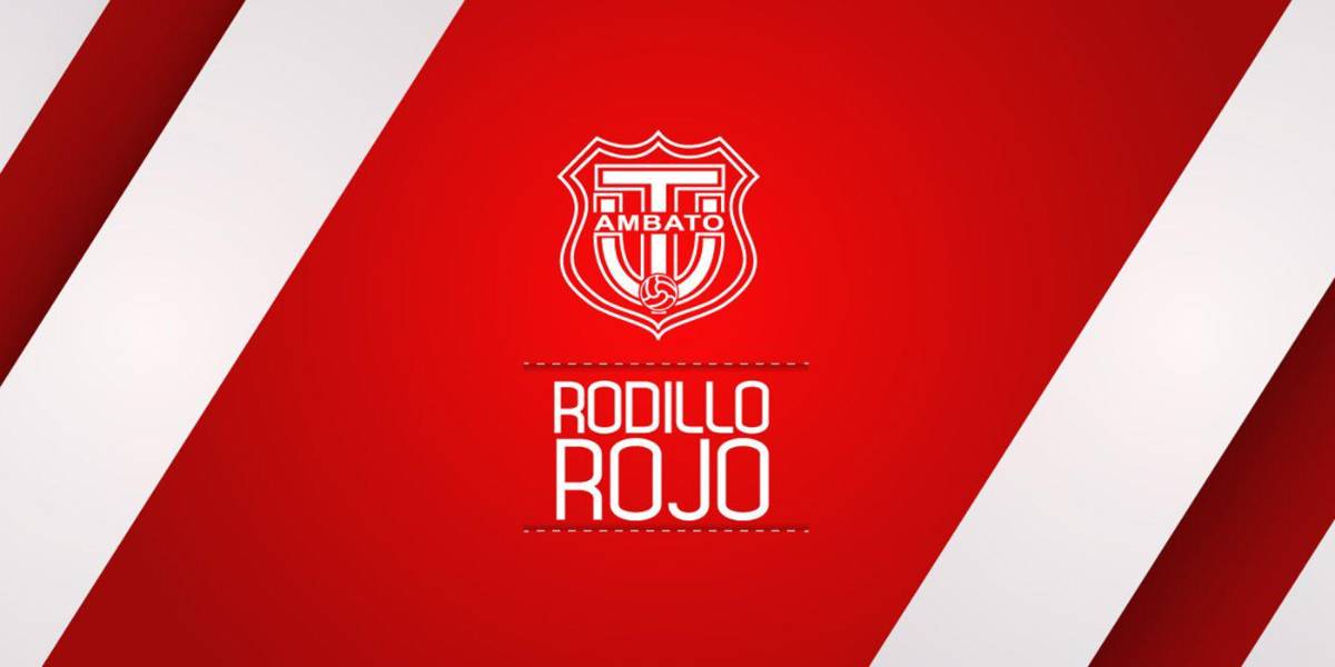 El Técnico Universitario notificó que tres perros del club murieron envenenados