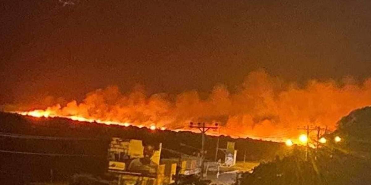 Incendio forestal en San Vicente obligó a movilizar decenas de bomberos de 5 cantones de Manabí