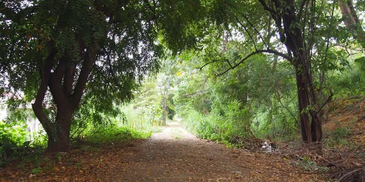 Un feto enterrado es hallado en el bosque Palo Santo, norte de Guayaquil