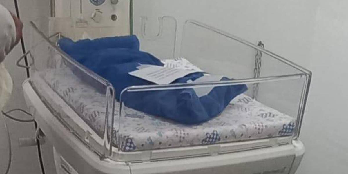 Bebé muere tras ser atacado por un perro pitbull, en el noroeste de Guayaquil