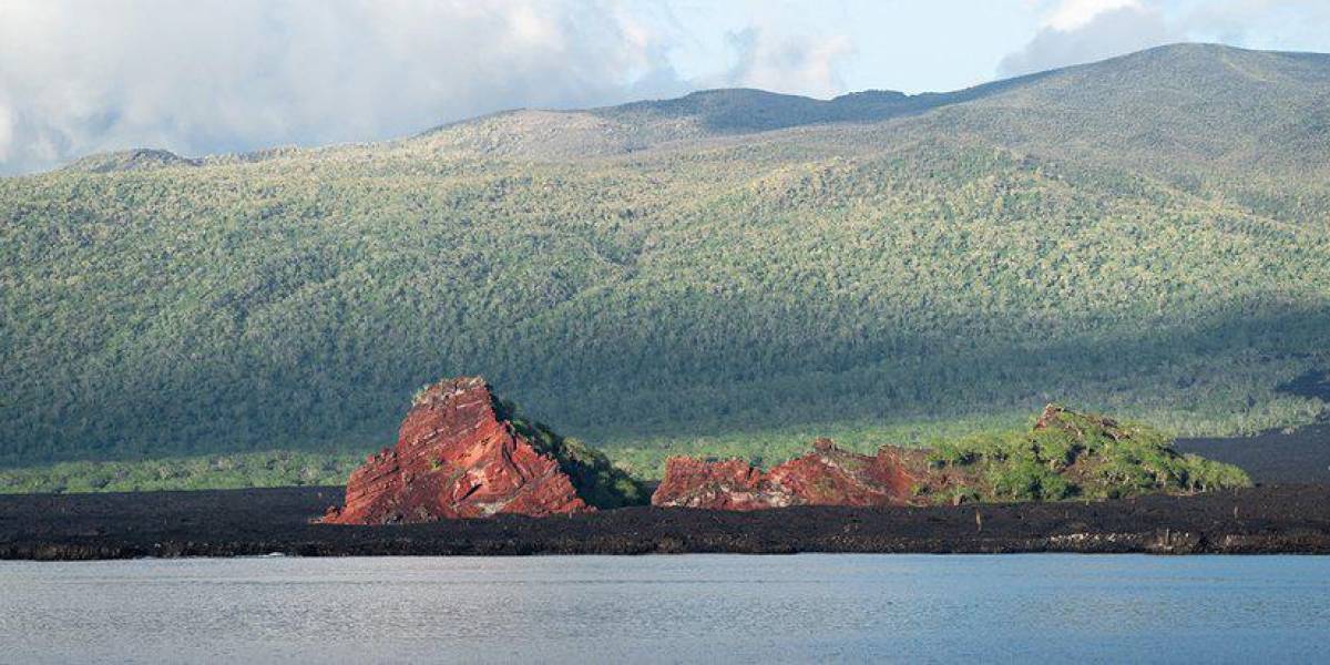 La Fundación Charles Darwin recibe siete millones de dólares para proteger las profundidades marinas