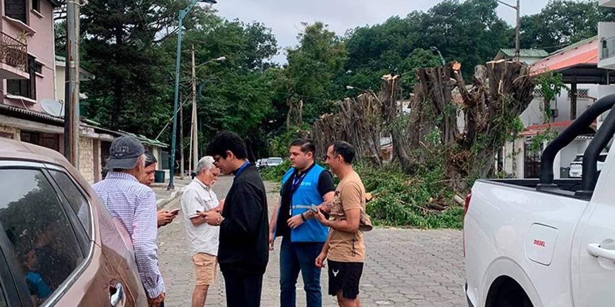 El Municipio de Guayaquil presentó denuncia en Fiscalía por tala de árboles en Las Garzas